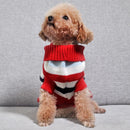 Roupa de Cachorro Golden